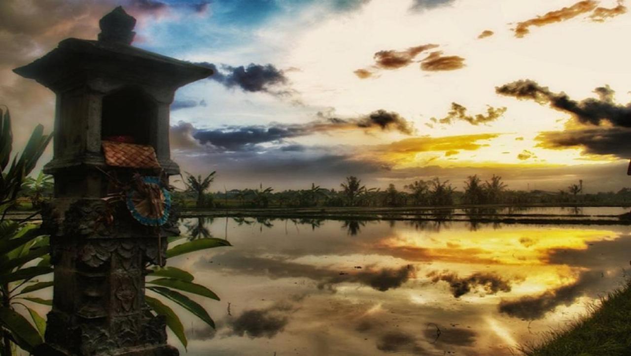 Pnb Bali Villas Чангу Экстерьер фото